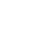 iaido