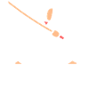 iaido