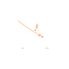iaido
