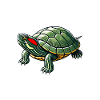 Turtle Red-eared Turtle
