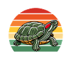 Turtle Red-eared Turtle