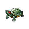 Turtle Red-eared Turtle
