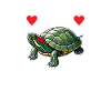 Turtle Red-eared Turtle