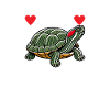 Turtle Red-eared Turtle