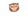 Nachteule Eule Eulen Vogel
