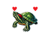 Turtle Red-eared Turtle
