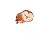 Nachteule Eule Eulen Vogel