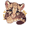 Clouded Leopard Nebelparder