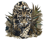 Clouded Leopard Nebelparder