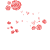 Women's Equality