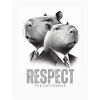 Respect the capybaras