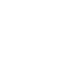 Social 1984