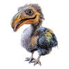 Oiseau Dodo