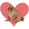 Walrus Manatee Alaska