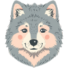 Wolf Wolves