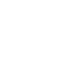 2003 Limited Edition