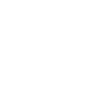 2005 limited edition