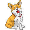 Corgi Sifflet d’arbitre