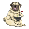 Mops Koch Ramen Kochen
