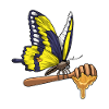Butterfly Honey Spoon