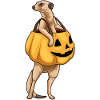 Erdmännchen Halloween Jack O'Lantern
