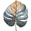 Monstera Deliciosa