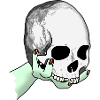Totenkopf wird dargeboten