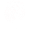 Lion, King of the Jungle,