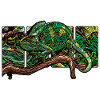 Caméléon