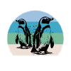Pinguin Sprüche