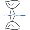 Waterfowl