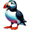 Puffin