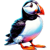 Macareux