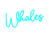 Whale Divers