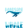 Whales Dolphin Sea Creatures Diving