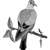 Oiseau