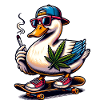 Extremely cool duck