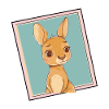 Kaenguru Kangaroo