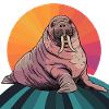 Sea lion walrus