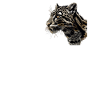 Clouded Leopard Nebelparder