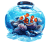 Clownfish Clownfische Clownfisch