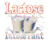 Laktosetolerant Oder Laktoseintolerant