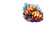 Clownfish Clownfische Clownfisch