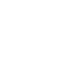 Pirate Skull