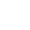 Mexican Skull Mexico