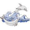 Dolphins
