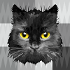 Katze
