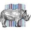 Rhinoceros