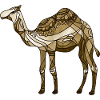 Kamel