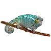 Caméléon